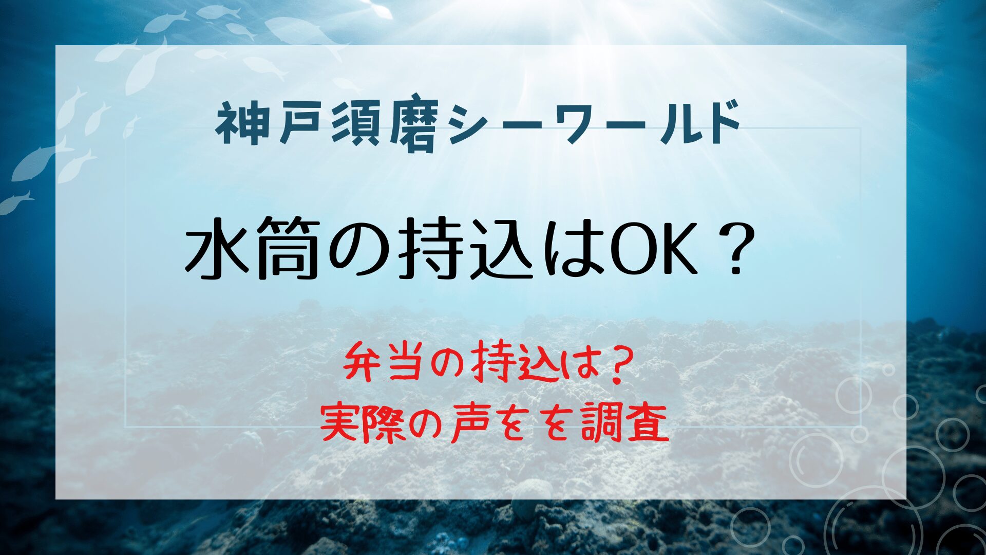 須磨シーワールド水筒・弁当の持込はできる？